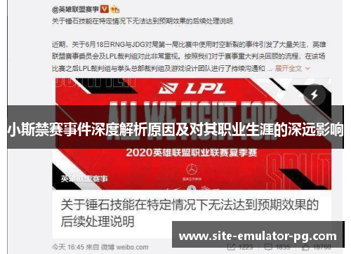 小斯禁赛事件深度解析原因及对其职业生涯的深远影响