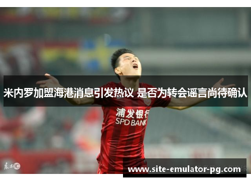 米内罗加盟海港消息引发热议 是否为转会谣言尚待确认 米内罗加盟海港消息引发热议 是否为转会谣言尚待确认