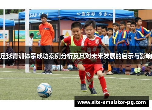 足球青训体系成功案例分析及其对未来发展的启示与影响