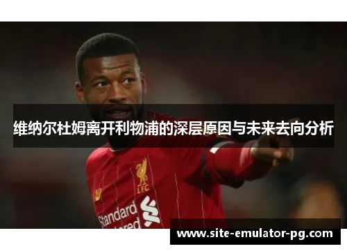 维纳尔杜姆离开利物浦的深层原因与未来去向分析