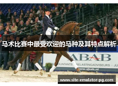 马术比赛中最受欢迎的马种及其特点解析 马术比赛中最受欢迎的马种及其特点解析