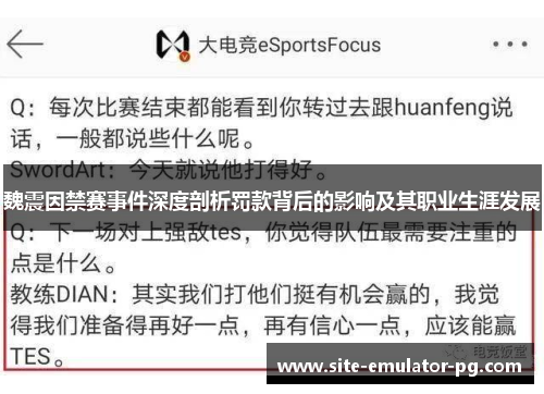 魏震因禁赛事件深度剖析罚款背后的影响及其职业生涯发展