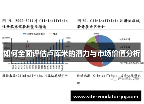 如何全面评估卢库米的潜力与市场价值分析