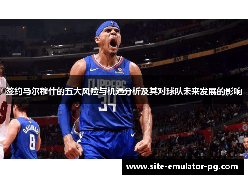 签约马尔穆什的五大风险与机遇分析及其对球队未来发展的影响