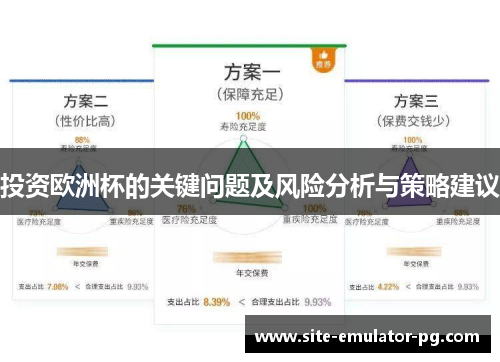 投资欧洲杯的关键问题及风险分析与策略建议